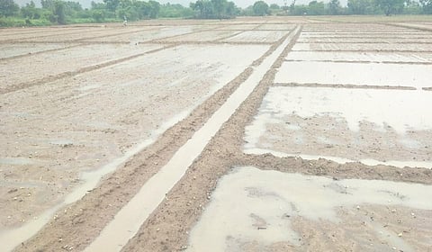 குறிஞ்சிப்பாடி பகுதியில் கன மழையால் மணிலா வயல்களில் தண்ணீர் தேங்கியுள்ளது.
