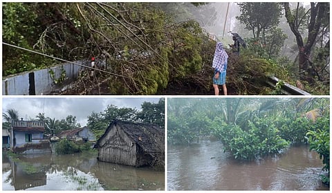 திண்டுக்கல்லில் விடிய விடிய கொட்டிய மழை: பழநியில் வீடுகளுக்குள் புகுந்த தண்ணீர்