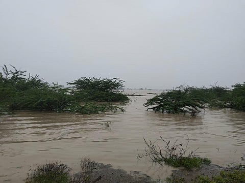 சாயல்குடி அருகே எஸ்.தரைக்குடி- கொண்டுநல்லான்பட்டி செல்லும் சாலையில் ஓடும் காட்டாற்று வெள்ளம்.