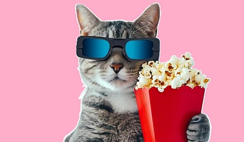 பாப்கார்ன் மீம்ஸ்க்கும் வரி வந்துடப் போகுது..!