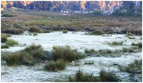 கொடைக்கானலில் உறைபனி: கருகும் பயிர்கள்; விவசாயிகள் கவலை - இயல்பு வாழ்க்கை பாதிப்பு