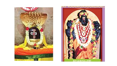 ஞாயிறு தரிசனம்: விவசாயம் செழிக்க அரு கிடாத்தலைமேடு காமுகாம்பாள்