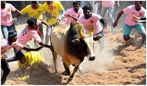 கோப்புப் படம்