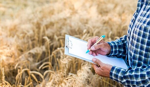 கூட்டுறவு வங்கிகளில் பயிர்க்கடன் பெற முடியாமல் விவசாயிகள் தவிப்பு