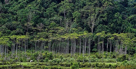 வன சட்ட திருத்த வரைவை திரும்பப்பெற வேண்டும்: தமிழக அரசுக்கு விவசாயிகள் சங்கம் வலியுறுத்தல்