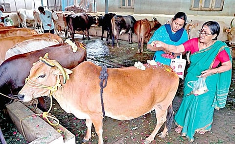 படம்: ம.பிரபு