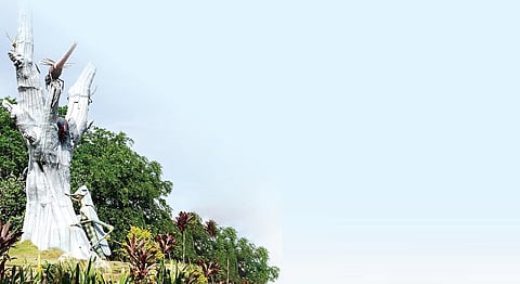 வண்ணத்துப்பூச்சி பூங்கா | சூழலியல் சுற்றுலா