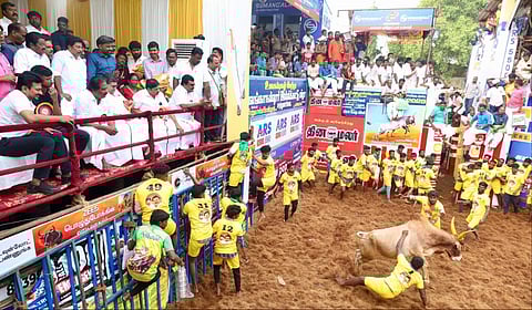 அலங்காநல்லூரில் நடந்த ஜல்லிக்கட்டுப் போட்டியை தனது மகன் இன்பநிதியுடன் கண்டு ரசித்த துணை முதல்வர் உதயநிதி ஸ்டாலின்