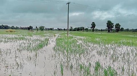 மழை பாதிப்பு; டெல்டா விவசாயிகளுக்கு ஏக்கருக்கு ரூ.35 ஆயிரம் நிவாரணம்: சிபிஎம் வலியுறுத்தல் 