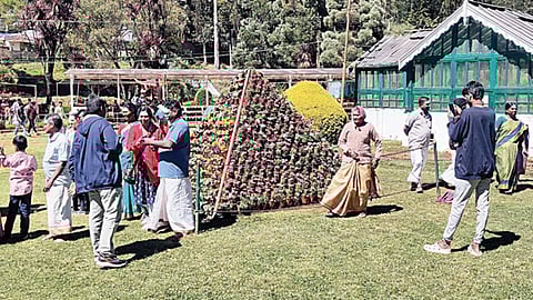 உதகை அரசு தாவரவியல் பூங்காவில் சுற்றுலா பயணிகளை கவரும் மலர் பிரமிடுகள்