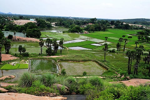 டங்ஸ்டன் திட்டத்தை கைவிட தமிழக அரசு அனுப்பிய பரிந்துரை கடிதம் - 3 மாதம் கழித்து மத்திய அரசு பதில்