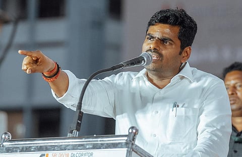 அண்ணாமலை | கோப்புப் படம்.