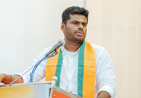 அண்ணாமலை | கோப்புப் படம்.