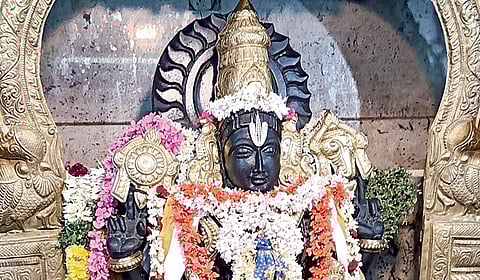 நல்ஆரோக்கியம் அருளும் பண்ருட்டி தன்வந்திரி பெருமாள்