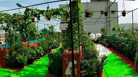 இயற்கை வேளாண்மை, மாடி தோட்டம் குறித்த பயிற்சி: வேளாண் பல்கலை. அழைப்பு