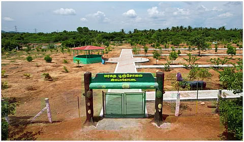 ரூ.4.25 கோடியில் 17 மரகத பூஞ்சோலைகள்: தமிழக வனத்துறை தகவல்