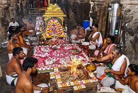 படங்கள்: நா.தங்கரத்தினம்