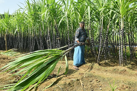 கோப்புப்படம்