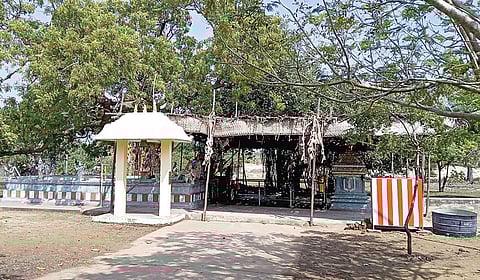 பார்வை குறைபாடு நீக்கும் நொச்சிக்காடு கண்கொடுத்த நாச்சியப்ப பெருமாள்