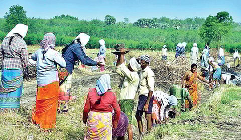 100 நாள் வேலை திட்டம் நிறுத்தம்: திருப்பத்தூரில் 1.5 லட்சம் தொழிலாளர்கள் பாதிப்பு