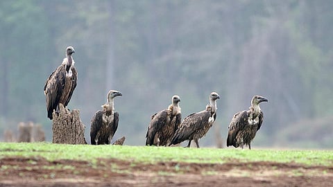 கோப்புப்படம்