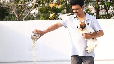 கோடை வெயிலால் தவிக்கும் பறவைகளுக்கு நீரும் உணவும் கொடையளிப்போம்: பொது மக்களுக்கு முதல்வர் ஸ்டாலின் அழைப்பு