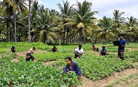 “வேளாண்மை படிப்புகளில் விவசாயிகளின் பிள்ளைகளுக்கு முன்னுரிமை” -  பேரவையில் காங். எம்எல்ஏ கோரிக்கை 