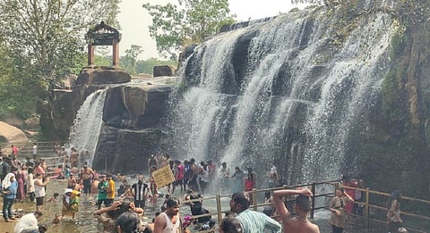 குமரியில் இரு நாட்களாக பெய்த சாரல் மழைக்கு மத்தியில் திற்பரப்பு அருவியில் குளித்து மகிழ்ந்த மக்கள்.