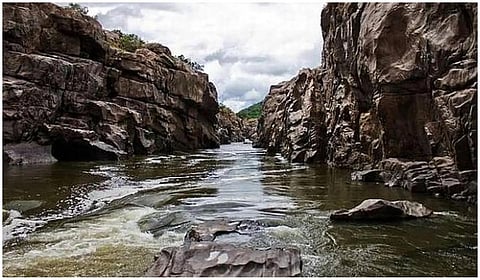 மேகேதாட்டு விவகாரத்தில் தமிழக அரசு தடுப்பு நடவடிக்கைகளை மேற்கொள்ள வேண்டும்: ராமதாஸ்