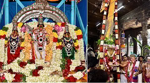 படங்கள் : நா.தங்கரத்தினம்