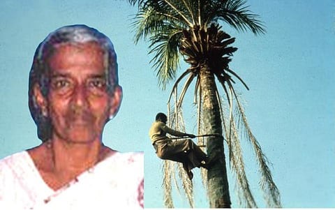 ஹெப்ஸிபா ஜேசுதாசன் 100 - தன்னியல்பான கதைசொல்லி!