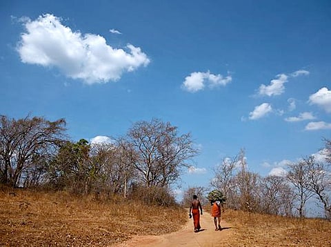 கோப்புப்படம்