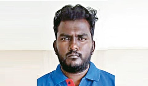 அலெக்ஸ்