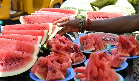 தர்பூசணியில் எங்கும் ரசாயன கலப்பு இல்லை: உயர் நீதிமன்றத்தில் தமிழக அரசு தகவல்