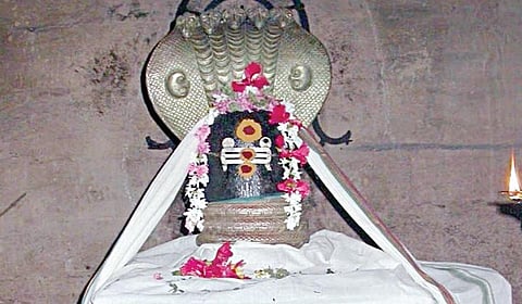 ராகு - கேது தோஷம் போக்கும் திருப்பாம்புரம் சேஷபுரீஸ்வரர்