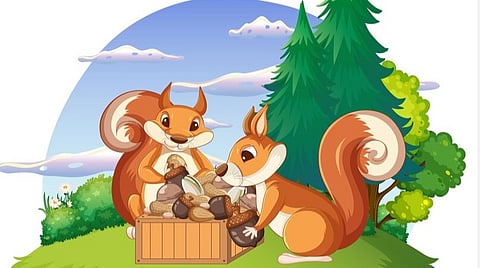 அணில் எவ்வாறு தொடர்புகொள்கிறது? | உயிரினங்களின் மொழி - 16