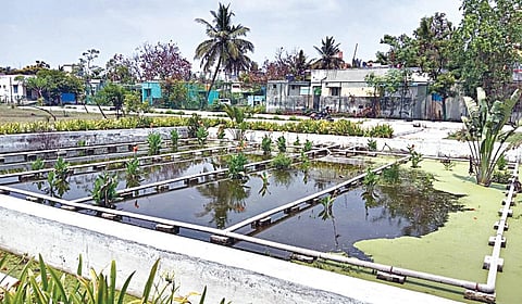 ‘தேங்கி நிற்கும்’ திரவ கழிவு மேலாண்மை திட்டம்: மாம்பாக்கம் ஊராட்சியில் ரூ.28.30 லட்சம் வீண்