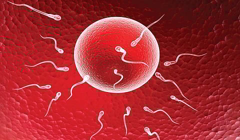 உயிரணுக்களின் பந்தயம்: வெல்லப் போவது யார்?