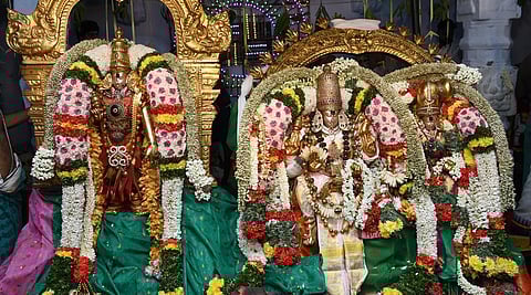 படம்: எஸ்.கிருஷ்ணமூர்த்தி