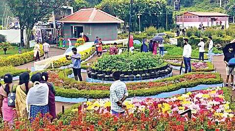 கொடைக்கானல் பிரையன்ட் பூங்காவில் பூத்துக் குலுங்கும் பூக்களை கண்டு ரசிக்கும் சுற்றுலாப் பயணிகள்.