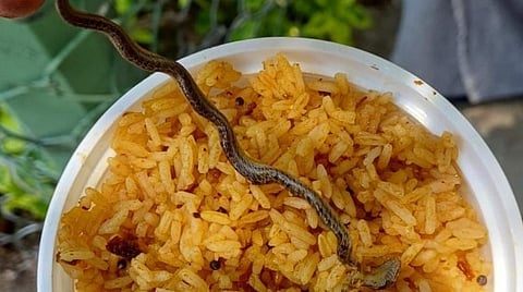 ஓசூர் சந்திரசூடேஸ்வரர் மலைக் கோயிலில் விற்பனை பிரசாதத்தில் பாம்பு: பக்தர்கள் அதிர்ச்சி