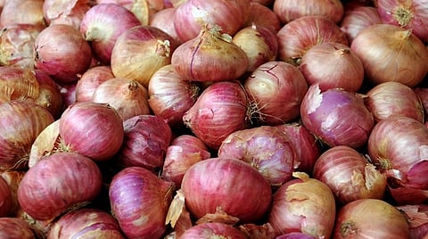 வெங்காயம் விலை வீழ்ச்சி: மொத்த விலையில் கிலோ ரூ.10-க்கு விற்பனை