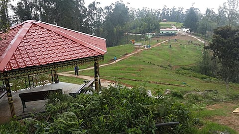 தேயிலை பூங்கா