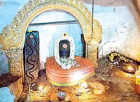 பசுவுக்கு தரிசனம் அளித்த குட்டையூர் மாதேஸ்வரர் | ஞாயிறு தரிசனம்