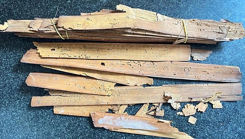 பழநியில் 18-ம் நூற்றாண்டு ஓலைச்சுவடி கண்டெடுப்பு: உலக நீதிநூலின் மாறுபட்ட பிரதி