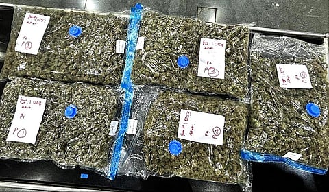 சிங்கப்பூரில் இருந்து கோவை விமான நிலையத்துக்கு கடத்தி வரப்பட்ட ரூ.5 கோடி மதிப்பிலான கஞ்சாவை வருவாய் புலனாய்வு இயக்குநரக அதிகாரிகள் பறிமுதல் செய்தனர்