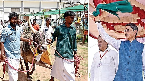 சிவகங்கை மாவட்டம் சிங்கம்புணரியில் ஜல்லிக்கட்டு காளைகளின் அணிவகுப்பை ஆளுநர் ஆர்.என்.ரவி தொடங்கிவைத்து பார்வையிட்டார்.