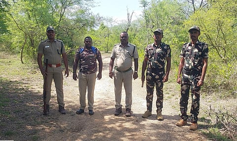 யானைகள் கணக்கெடுக்கும் பணியில் ஈடுபட்ட வனத்துறையினர்.