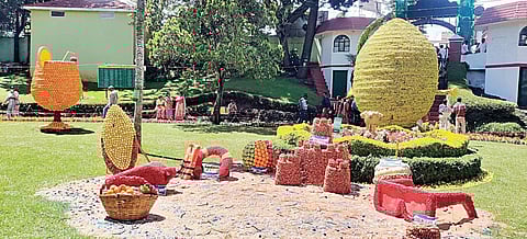 குன்னூர் சிம்ஸ் பூங்காவில் அமைக்கப்பட்டுள்ள மெகா எலுமிச்சை, பழ ரசக் கோப்பை,  விசில், கண்ணாடி, நீர் சறுக்கு மட்டை அலங்காரங்கள்.