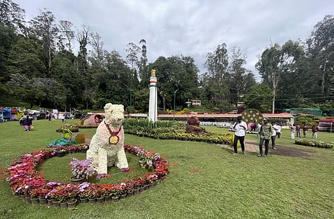 படங்கள்: ந.தங்கரத்தினம்.